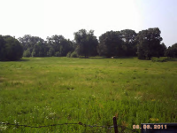 PR 3040, Coal Hill, AR 72832 