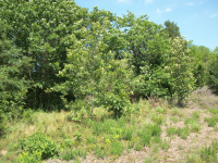 3 Acres N. Main St, Coal Hill, AR 72832 