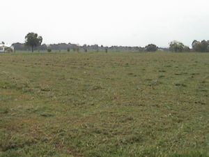 Lot 4 East Gate Circle, Dardanelle, AR 72834 