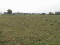 Lot 4 East Gate Circle, Dardanelle, AR 72834 