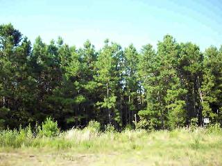 Rushing Road (CR 3840), Hagarville, AR 72839 