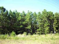 Rushing Road (CR 3840), Hagarville, AR 72839 