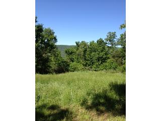 CR 4730, Hagarville, AR 72839 