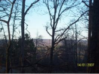 Johnson 3241, Hartman, AR 72840 