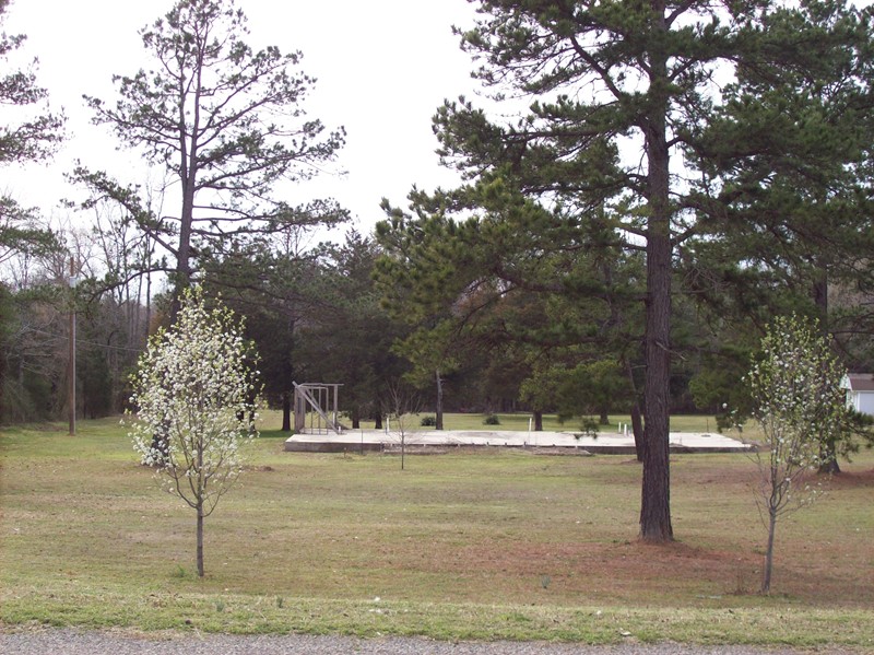 111 CR 3100, Hartman, AR 72840 