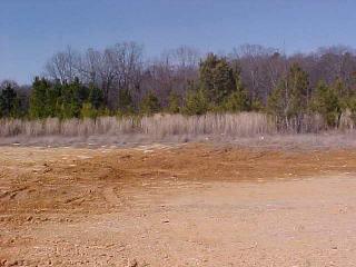 7762 Highway 71 South, Wickes, AR 71973 