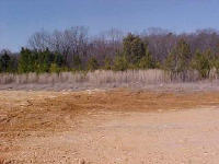 7762 Highway 71 South, Wickes, AR 71973 