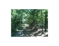 13842 Taylor Orchard Rd, Gentry, AR 72734 