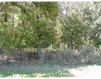 Tract 1 Garman St., Gentry, AR 72734 