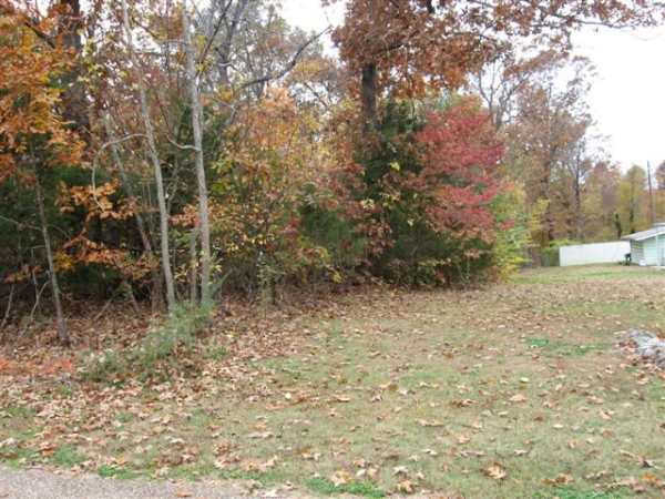 Lot 22 Cr 419, Mountain Home, AR 72653 