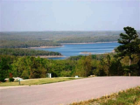 Lot 44 Swiss Alps Lane Ln, Mountain Home, AR 72653 
