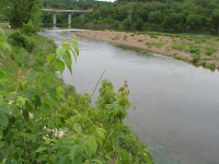 Lot 9 Pearl Landing, Flippin, AR 72634 