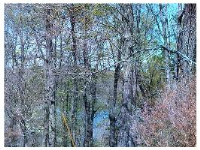 00 CR 1520, Eureka Springs, AR 72632 