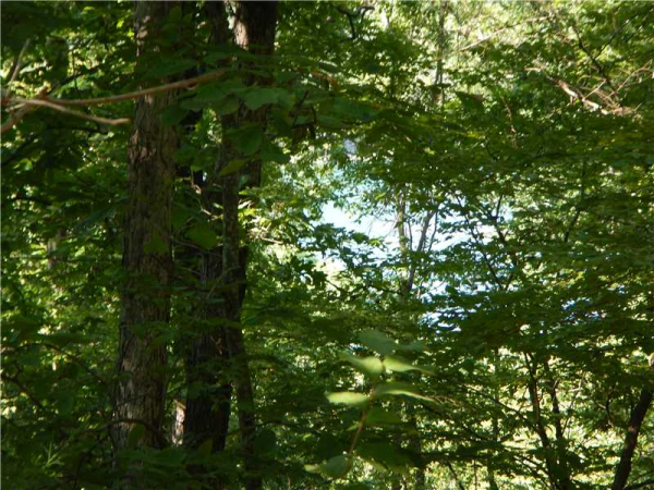 Lot 7 CR 1562, Eureka Springs, AR 72632 