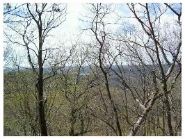 42 Cochise Dr, Holiday Island, AR 72631 