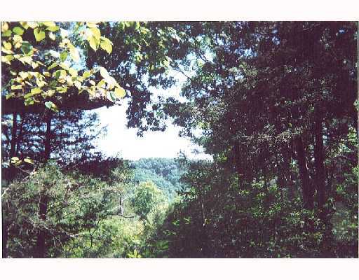 57 Eagle Dr, Holiday Island, AR 72631 