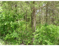 123 Beaver Dr, Holiday Island, AR 72631 