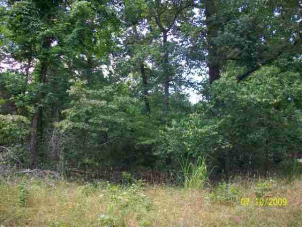 Lot 30 Rivercliff Drive, Bull Shoals, AR 72619 