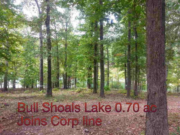 Lot 11 Cardinal Terrace, Bull Shoals, AR 72619 