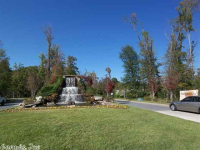 Lot 68 Naples Cv, Benton, AR 72019 