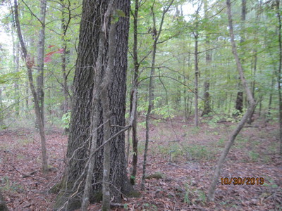 Ashley 2 West, Crossett, AR 71730 