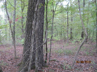 Ashley 2 West, Crossett, AR 71730 