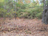 5 acres off Hwy 7, Louann, AR 71751 