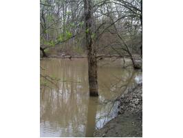 243 Acres Cross Co, Wynne, AR 72396 