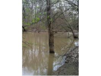243 Acres Cross Co, Wynne, AR 72396 