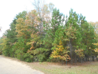 Lot 116 Fair Oaks, Camden, AR 71701 