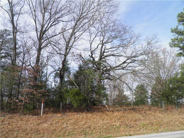 Highway 23 South, Eureka Springs, AR 72632 