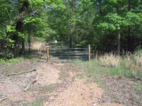 Marion County 8131, Flippin, AR 72634 