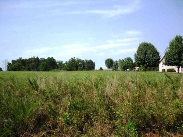 Marion County 7001, Flippin, AR 72634 