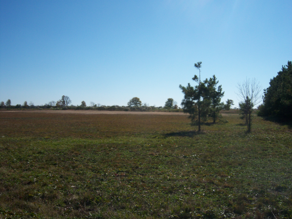 00 John Mason Bayou, Carlisle, AR 72024 