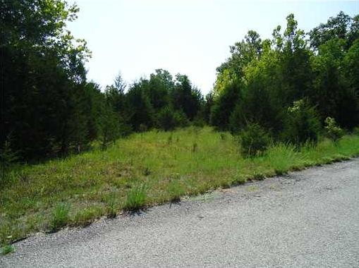 90 Sailboat Dr. aka U116 B3 L11, Eureka Springs, AR 72631 