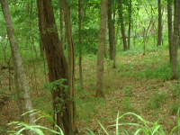 13 &amp; 15 Pivot Rock Ln. aka Lots 9 &amp; 10, Holiday Island, AR 72631 