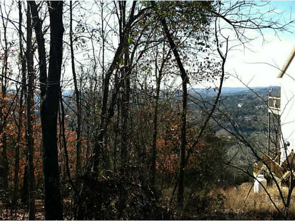 65 Leatherwood Dr, Holiday Island, AR 72616 