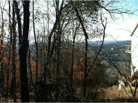 65 Leatherwood Dr, Holiday Island, AR 72616 