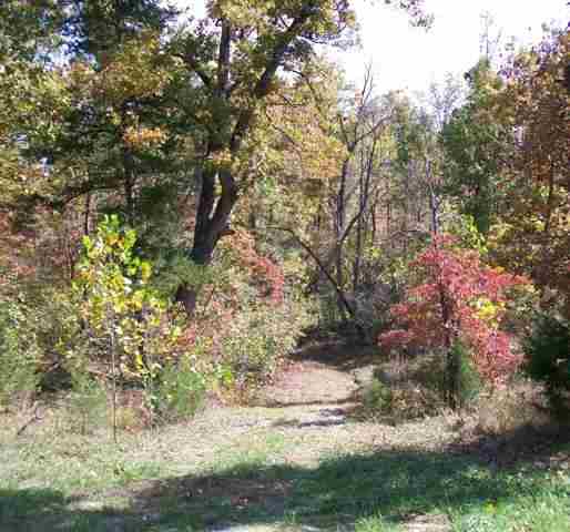 Lot 36 Oak Creek Drive Dr, Gepp, AR 72538 