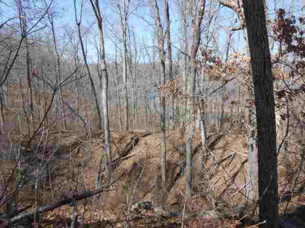 Lots 14-18 County Road 857, Elizabeth, AR 72531 