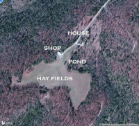 311 Mc 119, Oakland, AR 72661 