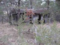 00 Marion County 149, Oakland, AR 72661 