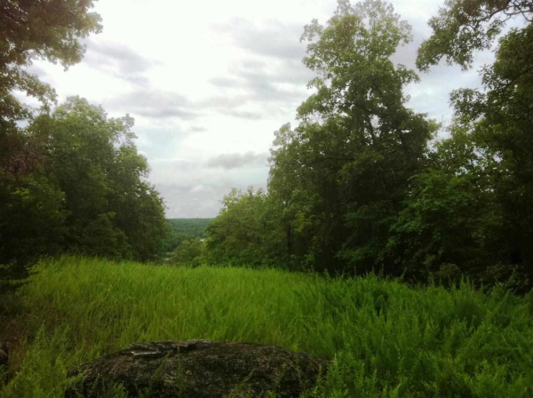 0000 County Road 485, Mountain Home, AR 72653 