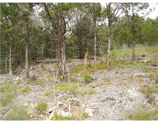 102 Blackfoot Dr., Holiday Island, AR 72631 