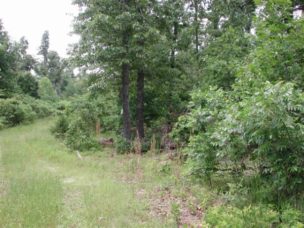 Lot #4 Big Oak Estates, Cherokee Village, AR 72529 