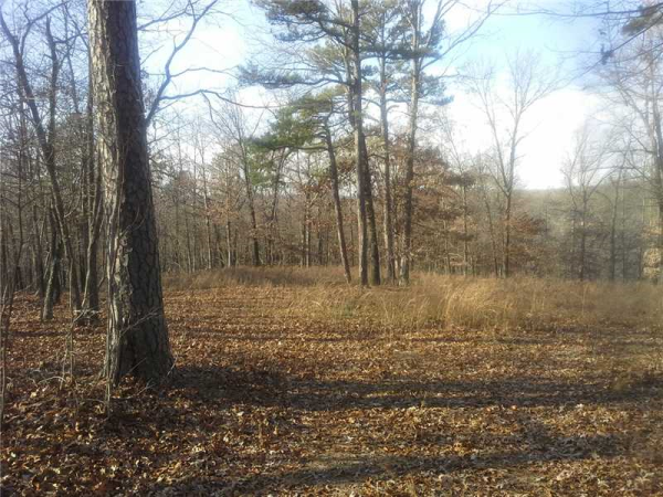 840 CR 116, Eureka Springs, AR 72631 