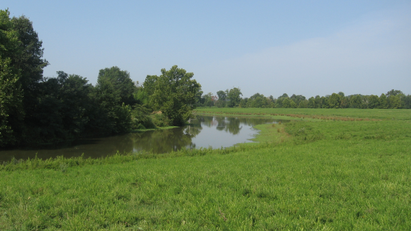 3021 CR 2243, Hartman, AR 72855 