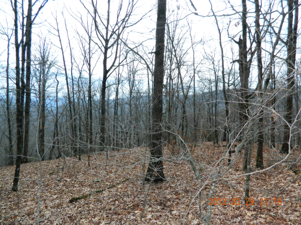 3686 CR 5351, Ozone, AR 72854 