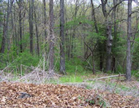 9 SE AMESBURY DR, Bella Vista, AR 72714 