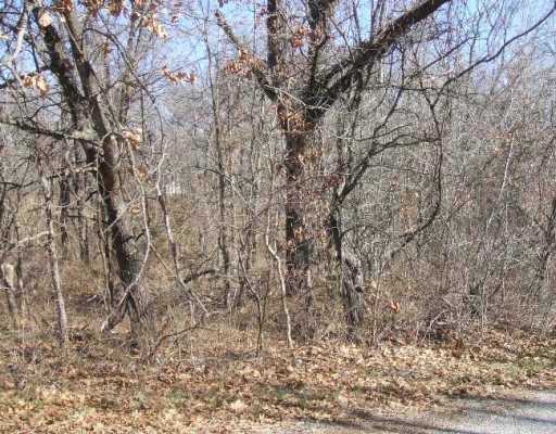 Lot 1 RAGLAN CIR, Bella Vista, AR 72714 